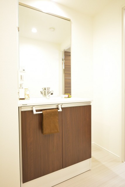 ハイネス大久保　洗面化粧台