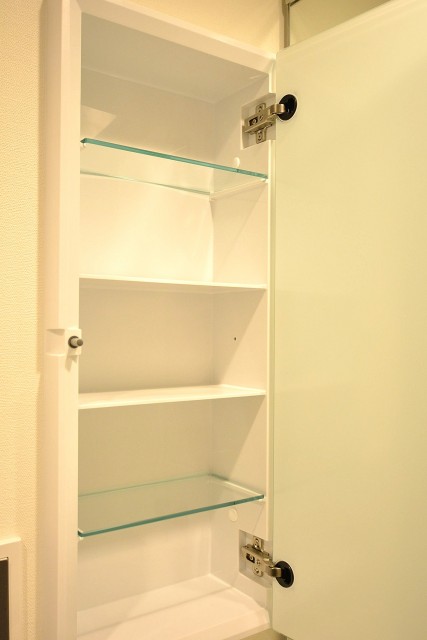 ハイネス大久保　キャビネット