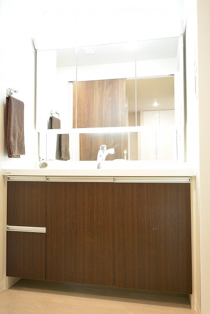 ドミシール田園　洗面化粧台