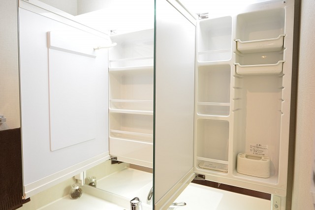 ドミシール田園　洗面化粧台