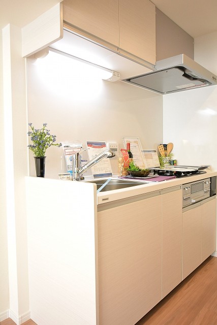 ハイネス大久保　キッチン