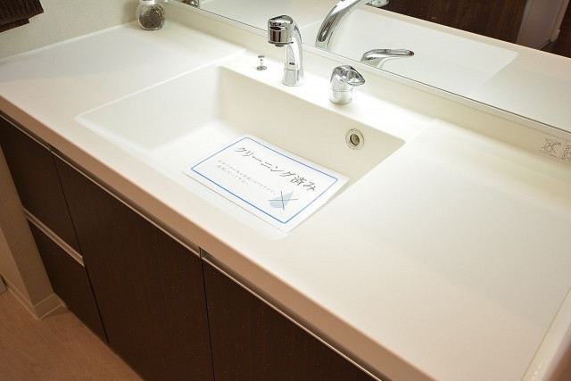 ドミシール田園　洗面化粧台