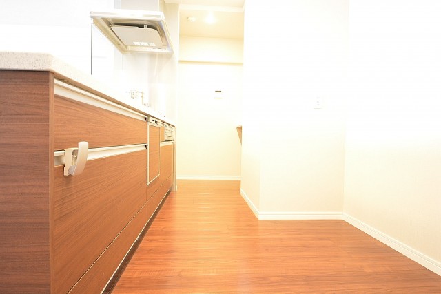 ドミシール田園　キッチンスペース