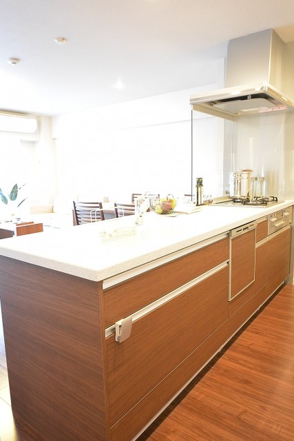 ドミシール田園　キッチン