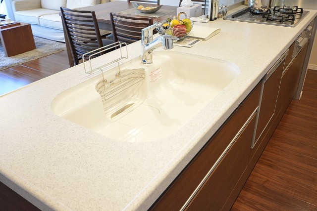 ドミシール田園　キッチン