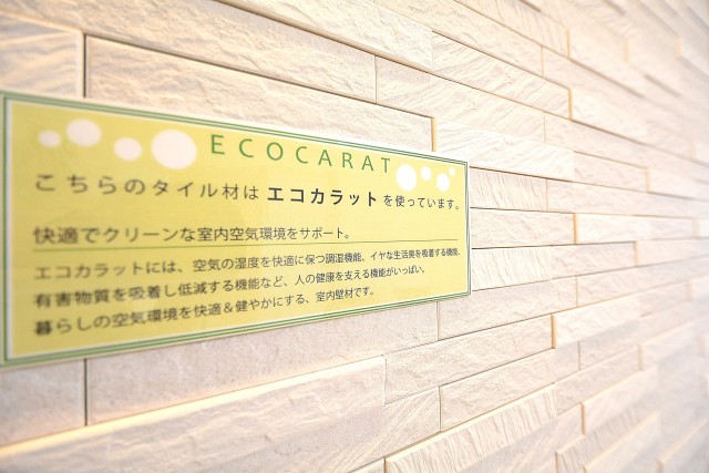 目白ハイツ　7.3帖のダイニングキッチンのエコカラット