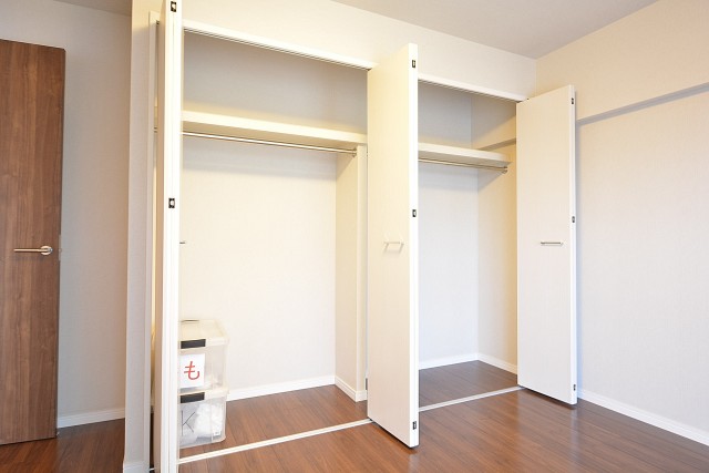 ドミシール田園　クローゼット