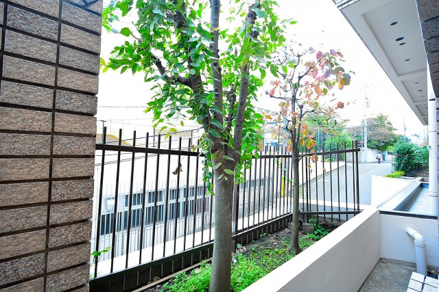 パーク・ハイム千石　7.2帖ベッドルーム窓