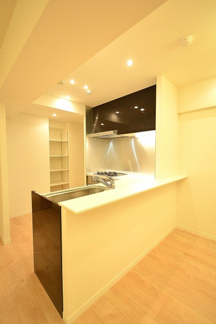 パーク・ハイム千石　18.7帖のLDK　キッチン