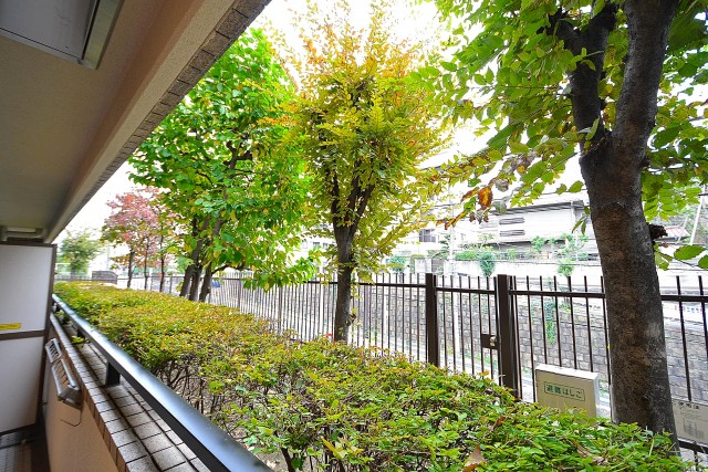 パーク・ハイム千石　18.7帖のLDK　バルコニー眺望