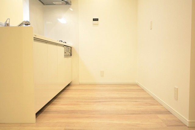 東カングランドマンション池袋キャッスル　キッチンスペース