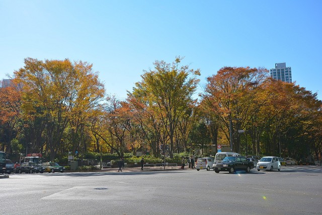 サンローゼ新宿　新宿中央公園