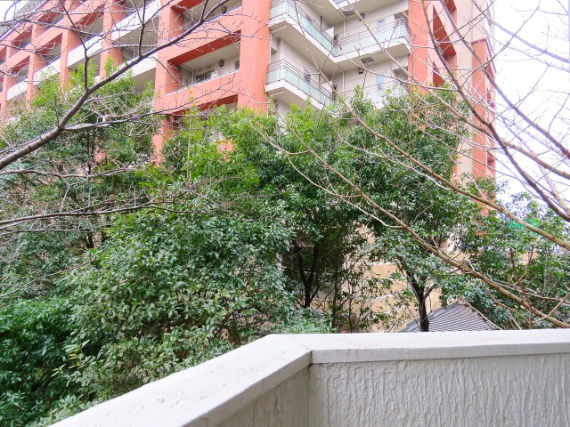 三軒茶屋サンハイツ　眺望