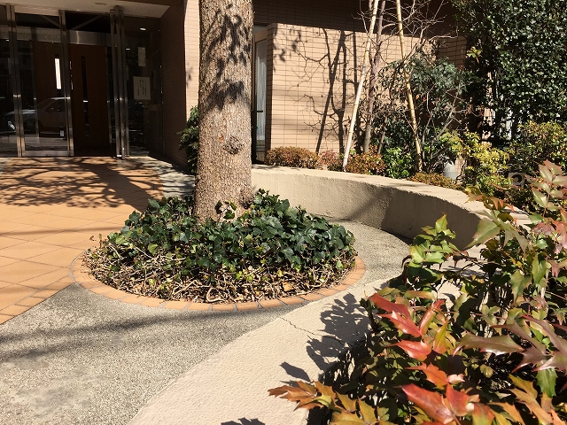 ウィライブ下落合　アプローチ