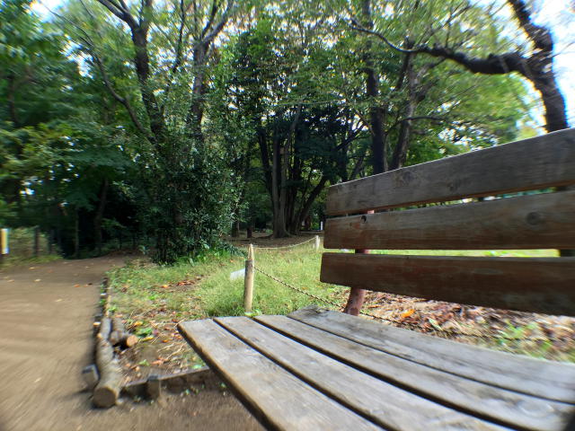 池ノ上グロリアハイツ　周辺環境