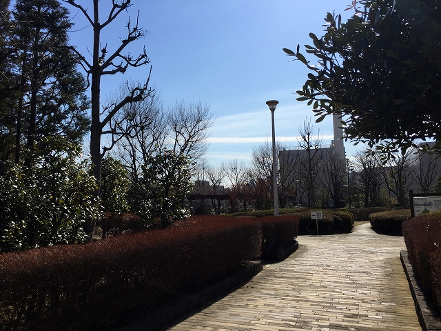 ウィライブ下落合　周辺環境