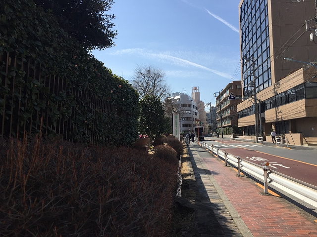 ウィライブ下落合　周辺環境