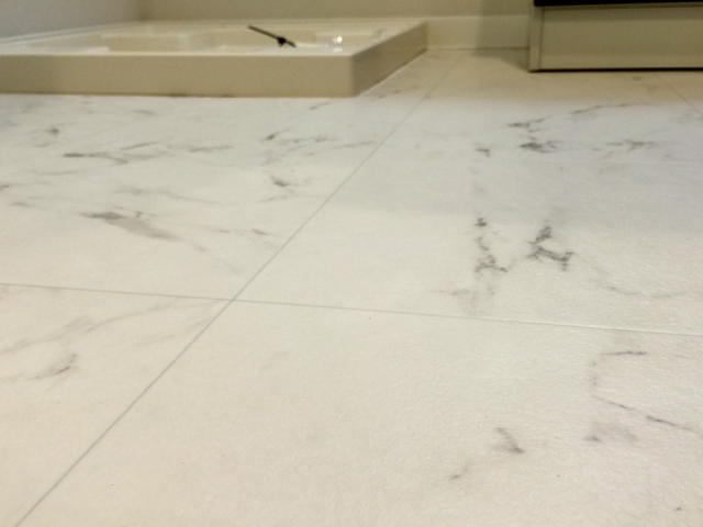 ロイヤルハイツ三田 サニタリールーム床