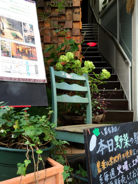 サンライズ五反田　周辺環境