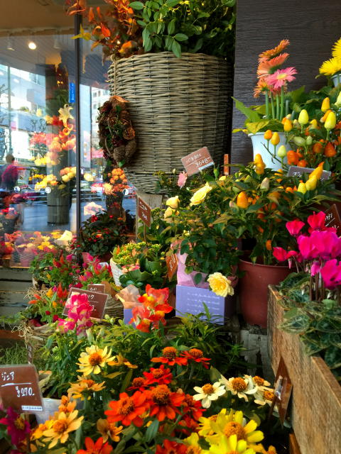 イトーピア五反田マンション　周辺環境