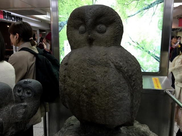 ストーク目白ウェステリア　周辺環境