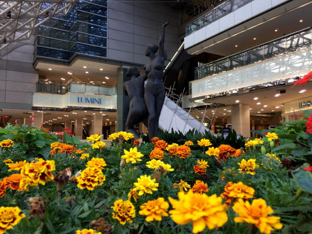 ストーク目白ウェステリア　周辺環境