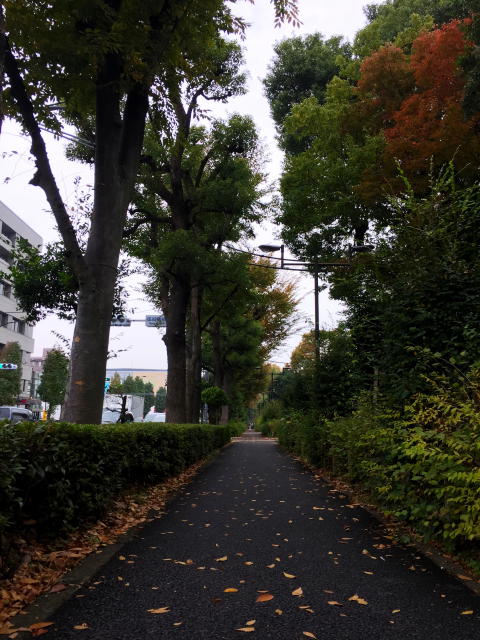 パラスト千歳船橋　周辺環境