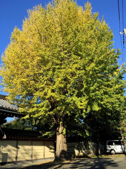 サンコート千歳台　周辺環境