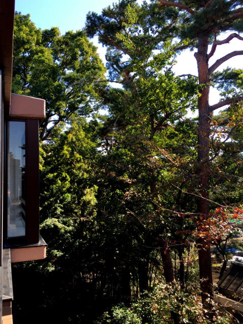 ライオンズガーデン荻窪大田