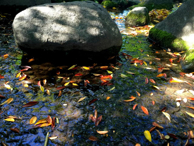 ライオンズガーデン荻窪大田　周辺環境