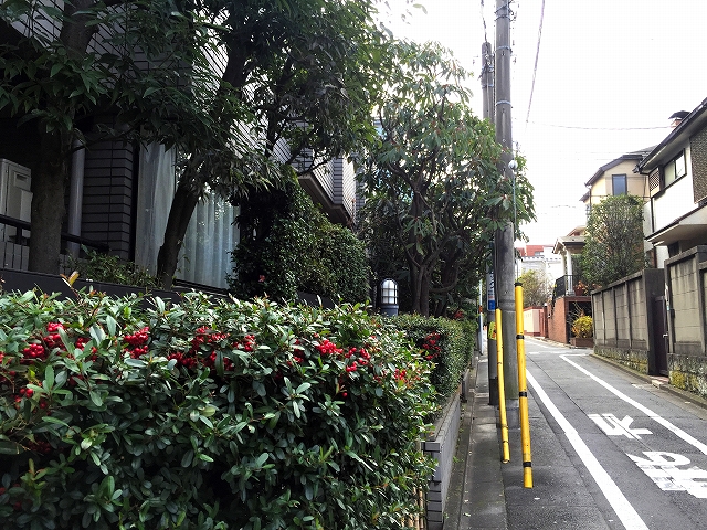 ストーク目白ウェステリア　植栽