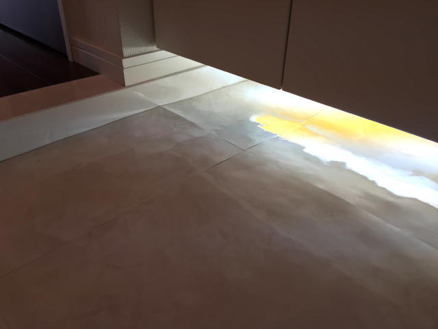 メイツ東中野　玄関