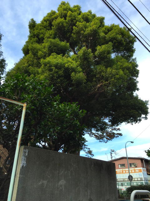 サンコート千歳台　周辺環境