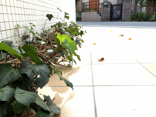 サンコート千歳台　エントランス