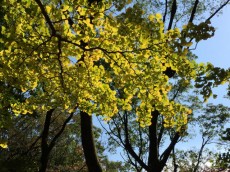 クリオ八幡山壱番館　周辺環境