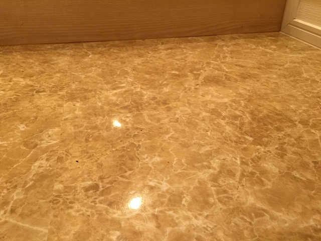 コスモ二子玉川　玄関