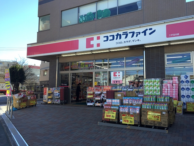 コスモ二子玉川　周辺環境