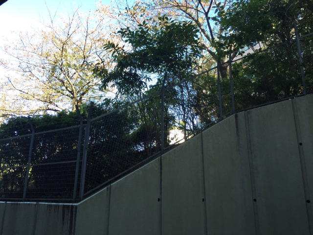 パレ駒場　洋室約8.3帖バルコニー眺望