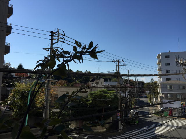 Ｇフラット　眺望