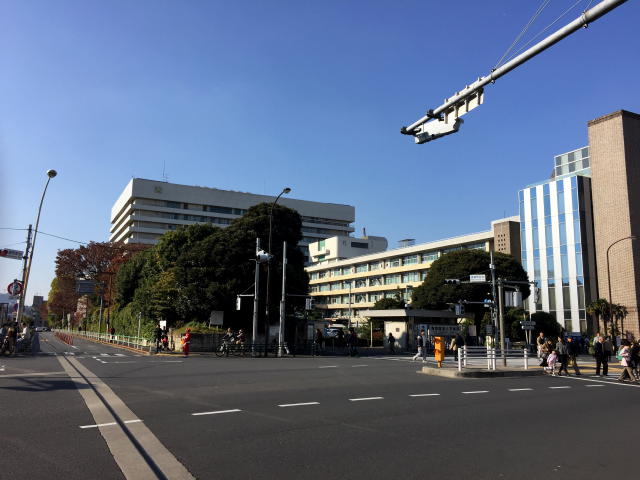 大京町サンハイツ　周辺環境