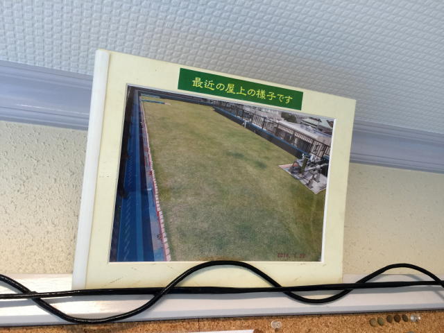 大京町サンハイツ　エントランスホール