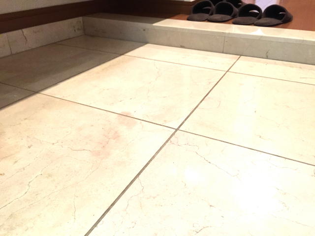 アルシオン芝浦　玄関