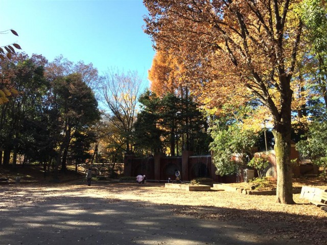 クリオ八幡山壱番館　周辺環境