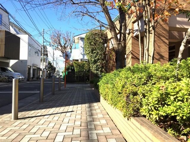 クリオ八幡山壱番館　全面道路