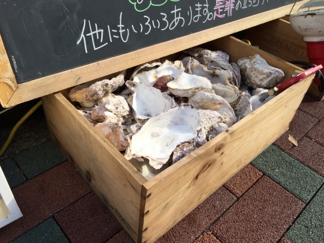 パレス三條　周辺環境