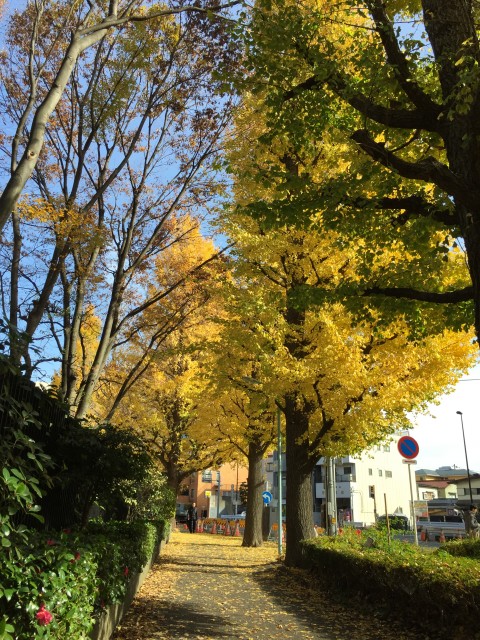 パレス三條　周辺環境