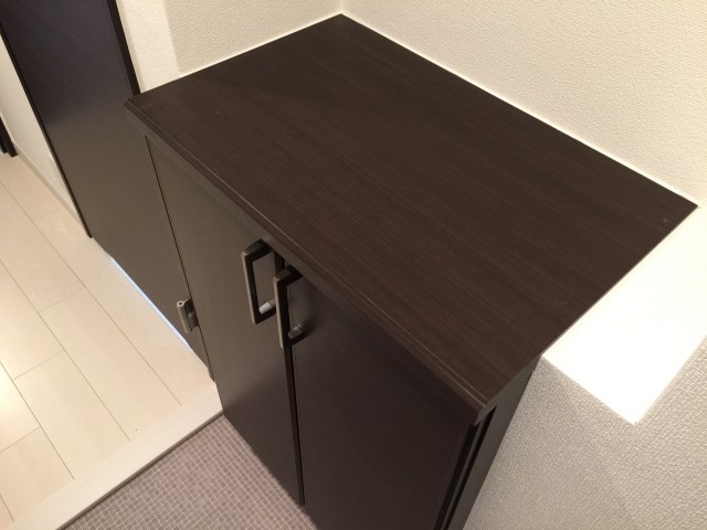 パレス三條　シューズボックス