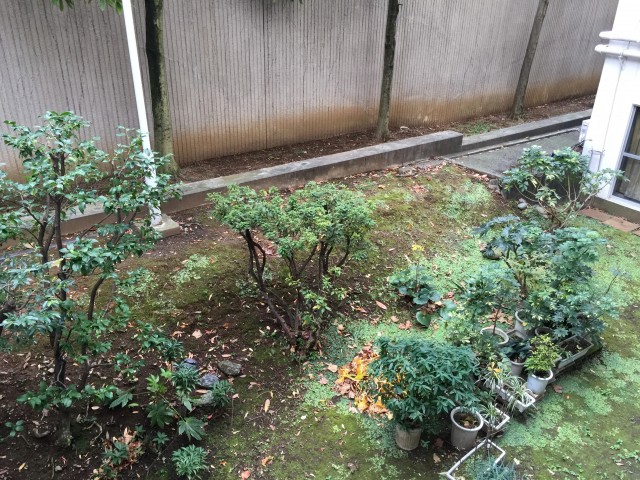 パレス三條　眺望