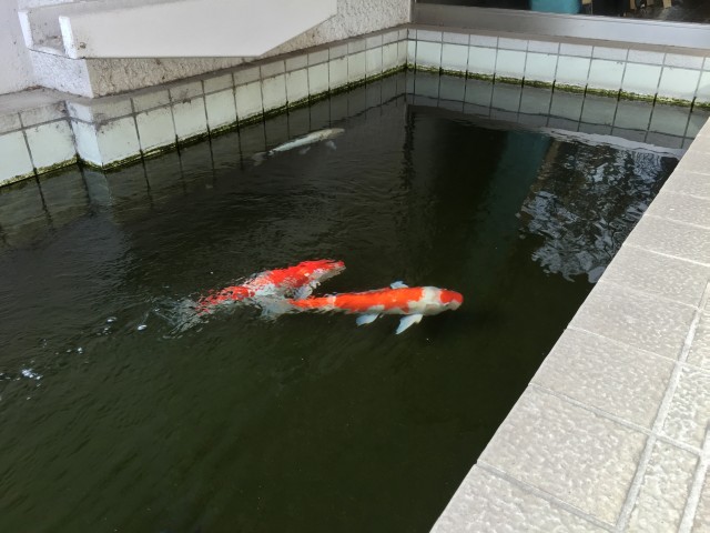 パレス三條　エントランス