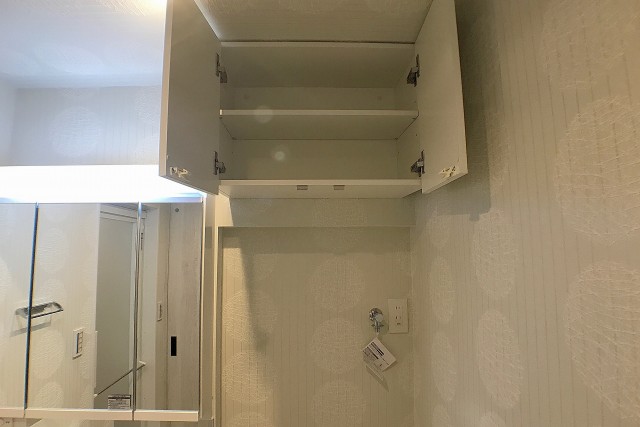 シティハウス西大久保 洗面室